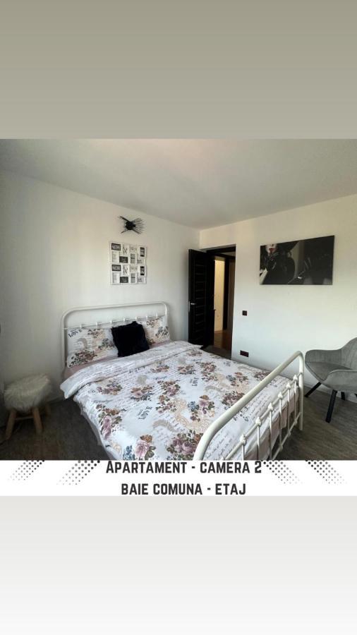 Vila Mik Guesthouse Sacele Exterior photo